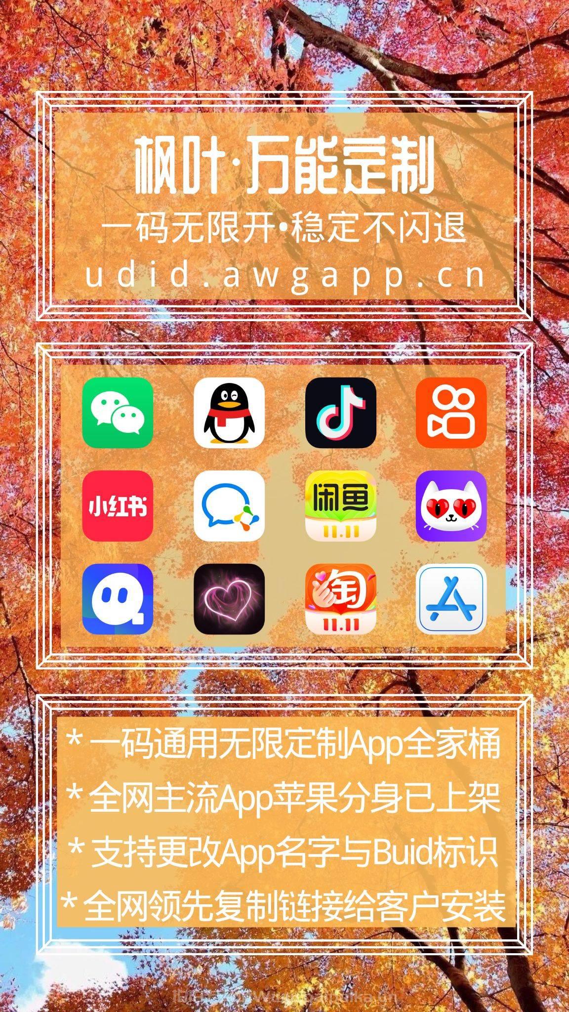 【枫叶定制】UDID定制