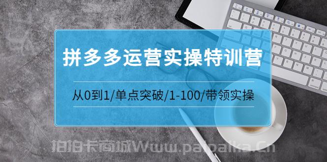 拼多多运营实操特训营：从0到1/单点突破/1-100/带领实操 价值2980元