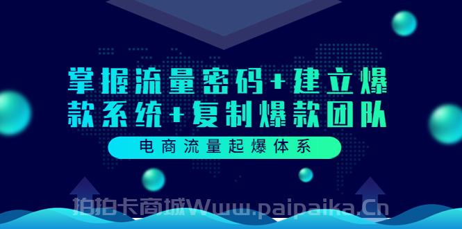 电商流量起爆体系：掌握流量密码+建立爆款系统+复制爆款团队（价值599）