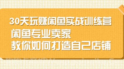 闲鱼无货源30天打造专业店铺，专业卖家教你