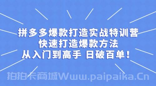 拼多多从入门到高手，爆款实战训练营日破百单