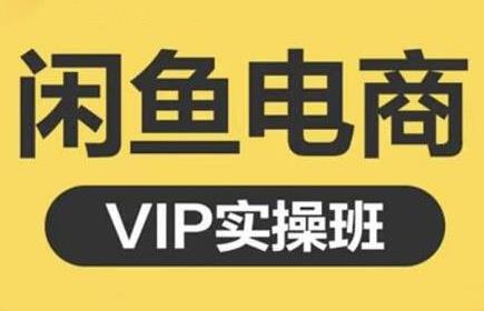 闲鱼零基础入门到进阶实战课程 掌握闲鱼电商各项技能