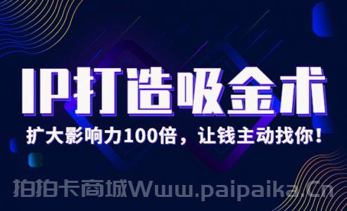 IP打造吸金术：0基础扩大影响力100倍，让钱主动找你！