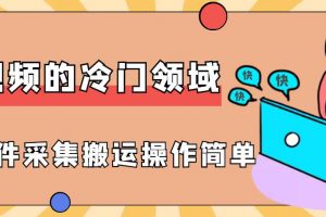 收益4位数头条中视频的冷门领域，直接丢软件采集操作简单，搬运就行