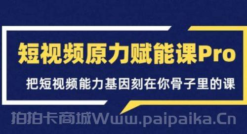 短视频原力赋能课Pro，把短视频能力基因刻在你骨子里的课（价值4999元）