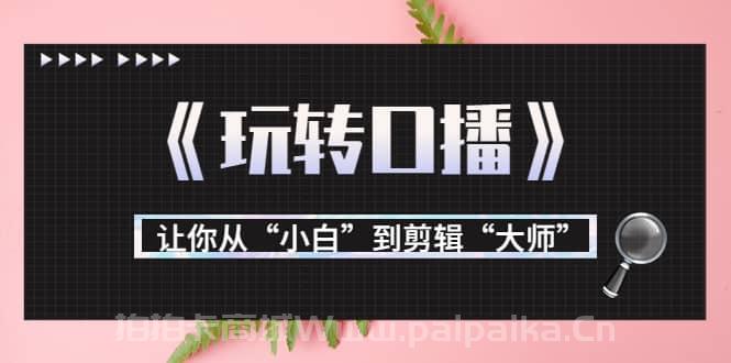 月营业额700万 大佬教您《玩转口播》让你从“小白”到剪辑“大师”