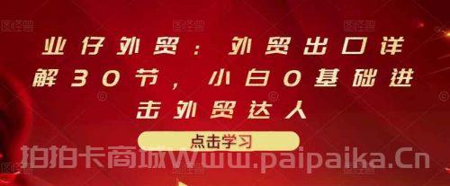 外贸出口详解课程：小白进击外贸达人，30节价值666元