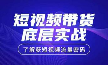 短视频带货底层实战，了解获短视频流量密码