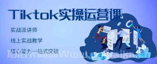 TikTok实操运营课，手把手账号实战，适合零基础Tiktok新人