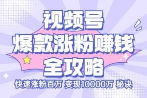 玩转微信视频号爆款涨粉赚钱全攻略，让你快速抓住流量风口，收获红利财富