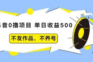 抖音撸项目：单日收益500，不发作品，不养号