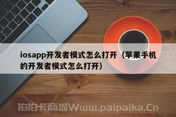 苹果ios开发者模式怎么打开-_拍拍卡激活码商城_货源源头